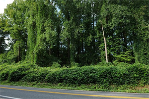 College Park campus