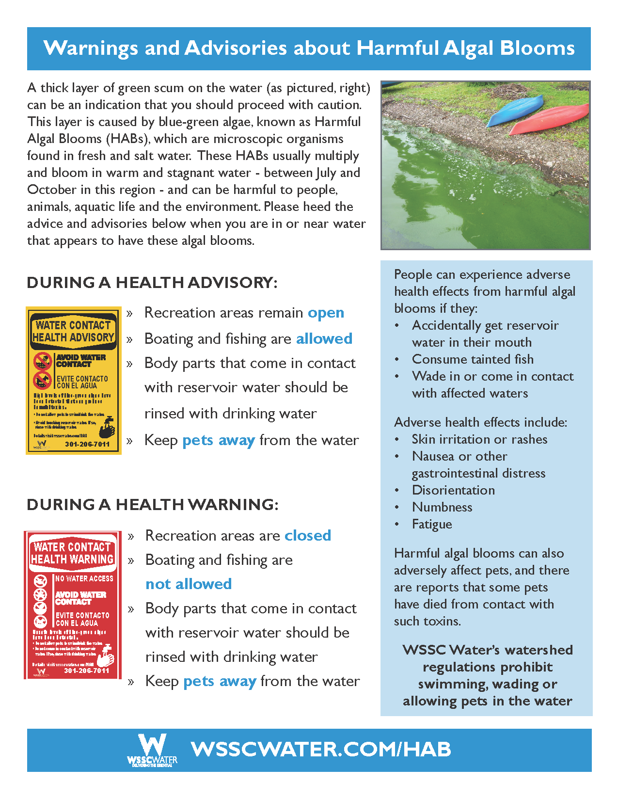 Algal Bloom Warnings and Advisories - what does it mean