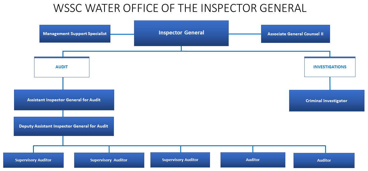 Office of the Inspector General Organization Chart