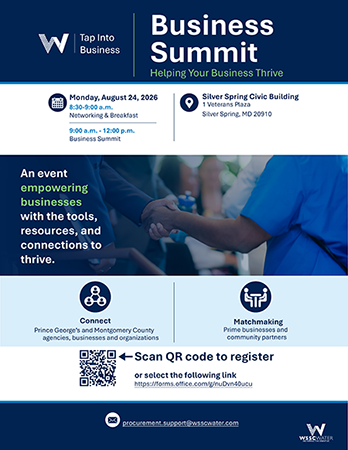 Business Summit Flyer. Accessible PDF provided as a link in this section.