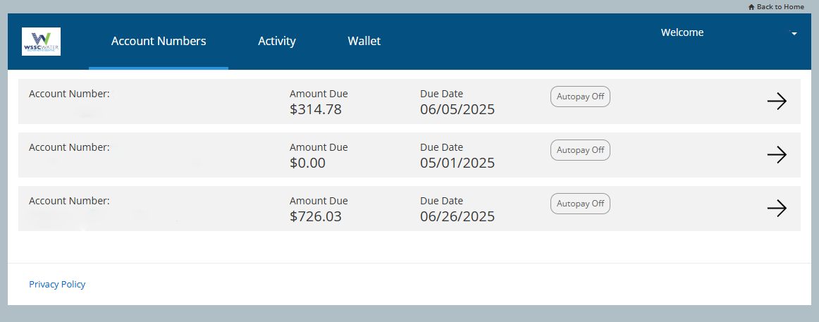 The current eBill system looks like this screenshot, with a dark aqua banner and different acount number lines highlighted in light beige. 