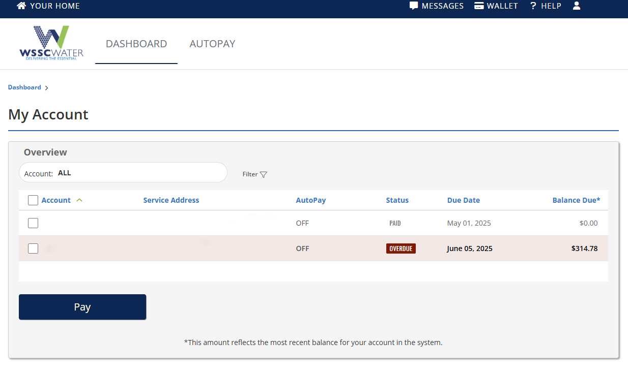 The new eBill system's main screen will look like this screenshot, with a dark blue banner and the different account number lines highlighted in either light beige or a light russet.  