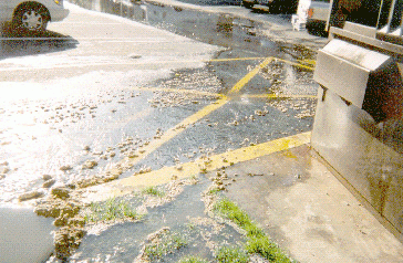 sanitary sewer overflows