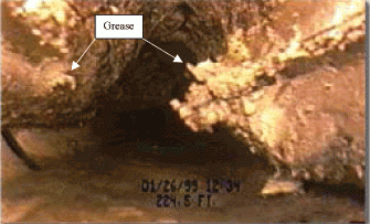 grease in sewer