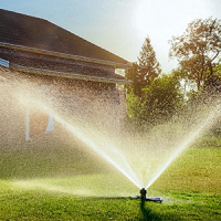 standard sprinkler