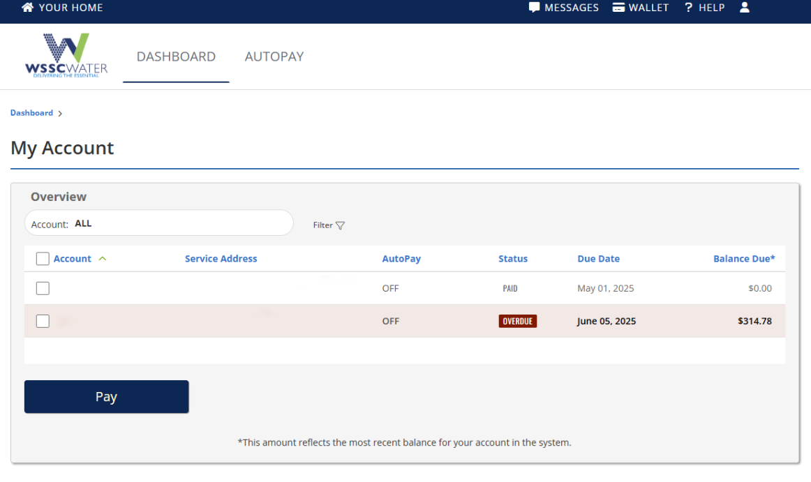 The new eBill system's main screen will look like this screenshot, with a dark blue banner and the different account number lines highlighted in either light beige or a light russet.