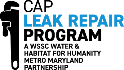 cap leak repair program