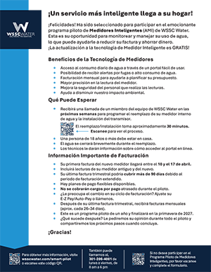 Qué esperar cuando instalemos su medidor inteligente AMI para interiores (español)