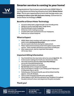 What to Expect When We Install Your Outdoor AMI Smart Meter (English)