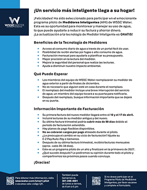 Qué esperar cuando instalemos su medidor inteligente AMI para exteriores (español)