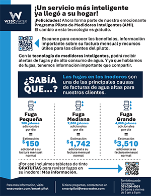 AMI Smart Meter Pilot Program Meter Replacement Letter (Spanish)
