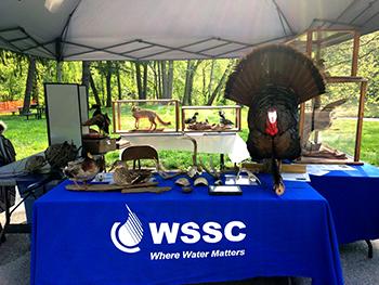 Children's Water Festival Event Photo