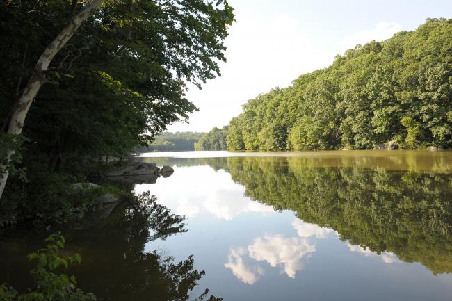 brighton dam watershed spring 2019