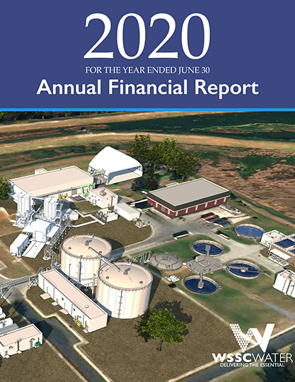 annual report 2020 cover