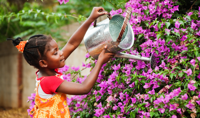 child watering azaleas with watering can
