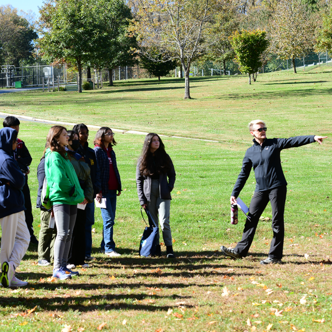 explaining the watershed