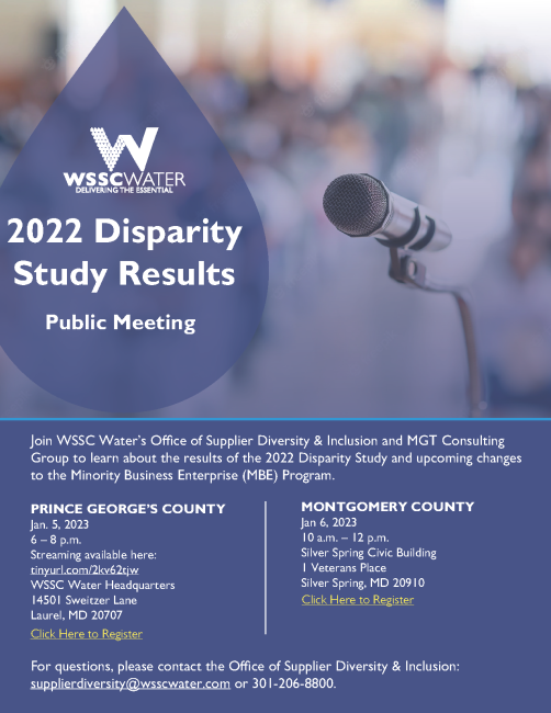 2022 disparity study results information