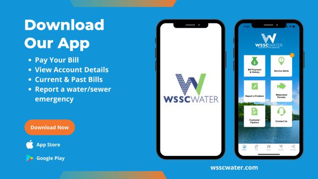 download our mobile app