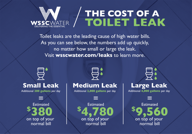 cost of a toilet leak graphic