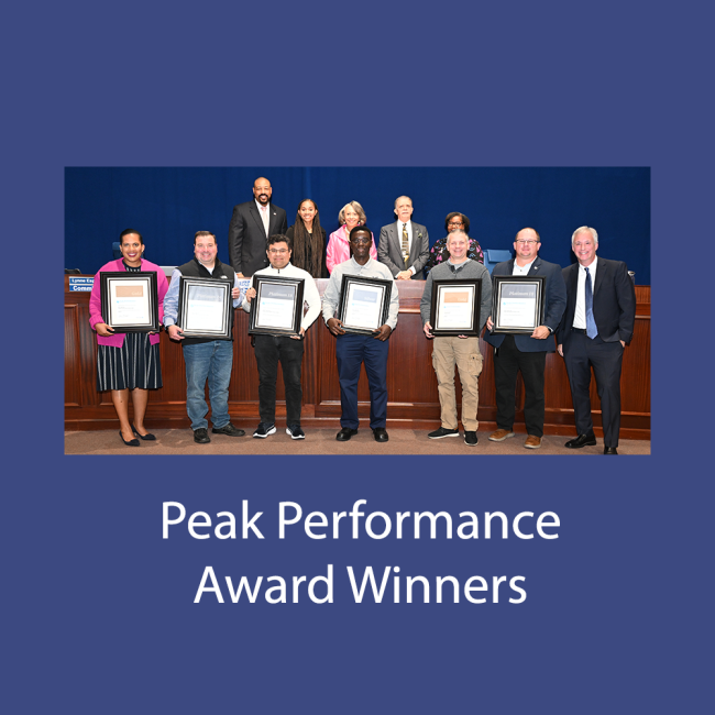 Peak Performance Award Winners