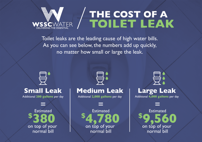 Toilet Leaks