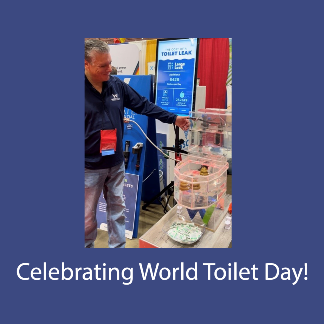 Celebrating world toilet day