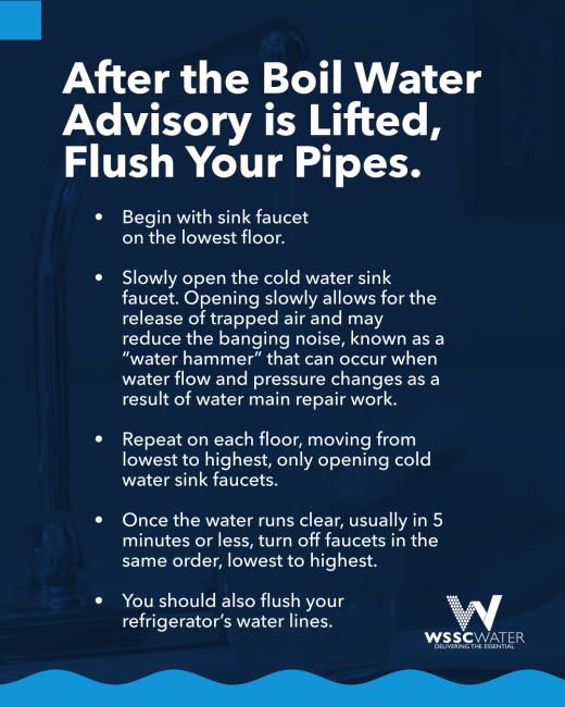 BWA_Lifted_NextSteps