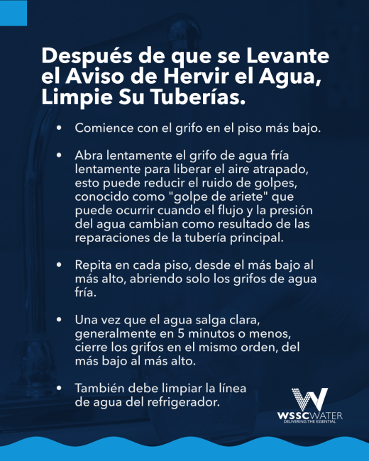 BWA_Lifted_NextSteps_SP