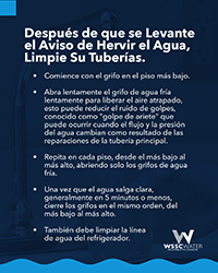 BWA_Lifted_NextSteps_SP