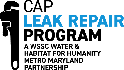 capleakrepair proggram