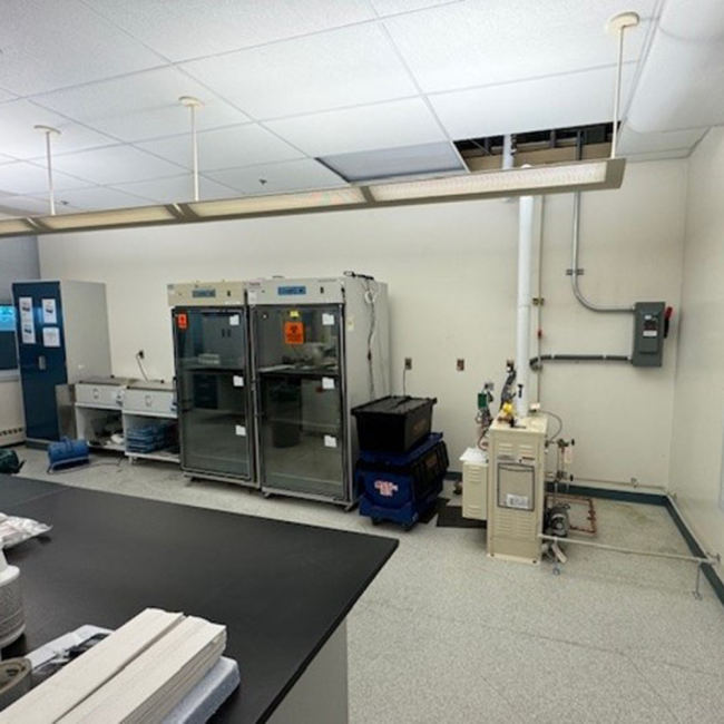 New Steam Generator and Steam Line