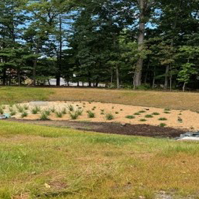 West Bio-Retention Pond