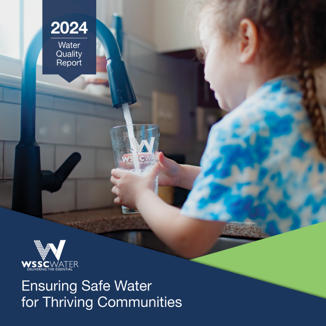 water quality report cover 2024