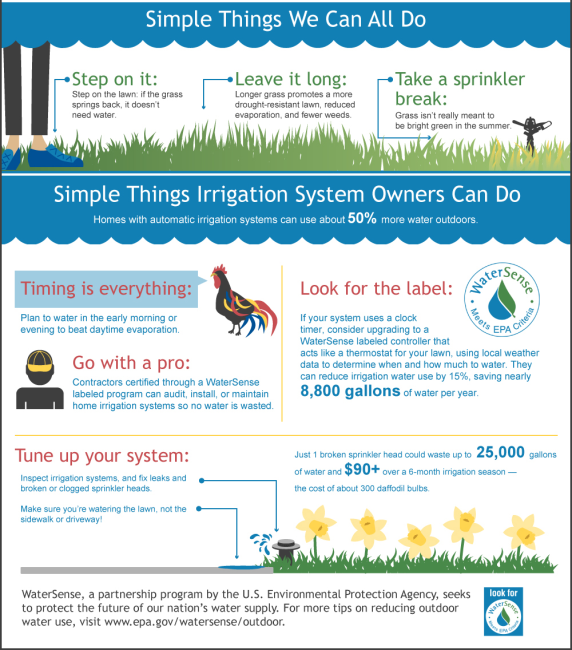Simple things we can all do to conserve water