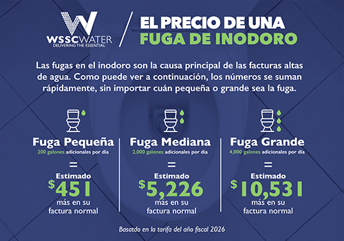 the cost of a toilet leak sp