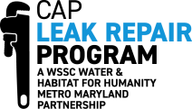 cap leak repair program