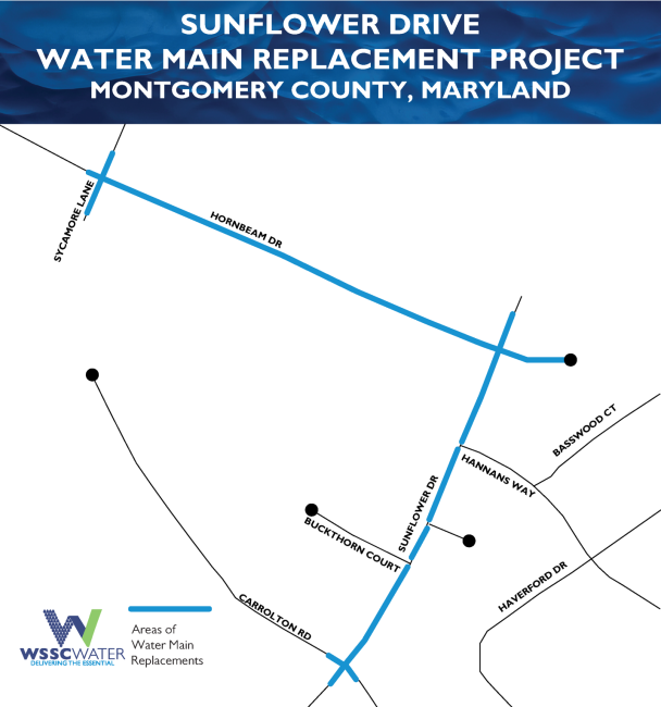 Sunflower Drive Water Main Replacement Project, Montgomery County, Maryland. The thick lines (light blue) show the areas of water main replacements. The lines run on on Hornbeam Road, from Sycamore Lane to the end, just past Sunflower Drive; a cross-section of Sycamore Lane; Sunflower Drive, from Hornbeam Drive to Carrolton Road; and a slight cross-section on Carrolton Road.